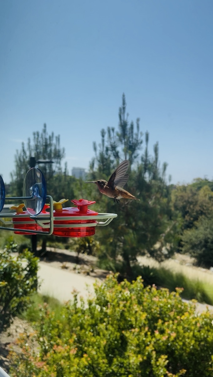 Selected work from the project Birds
