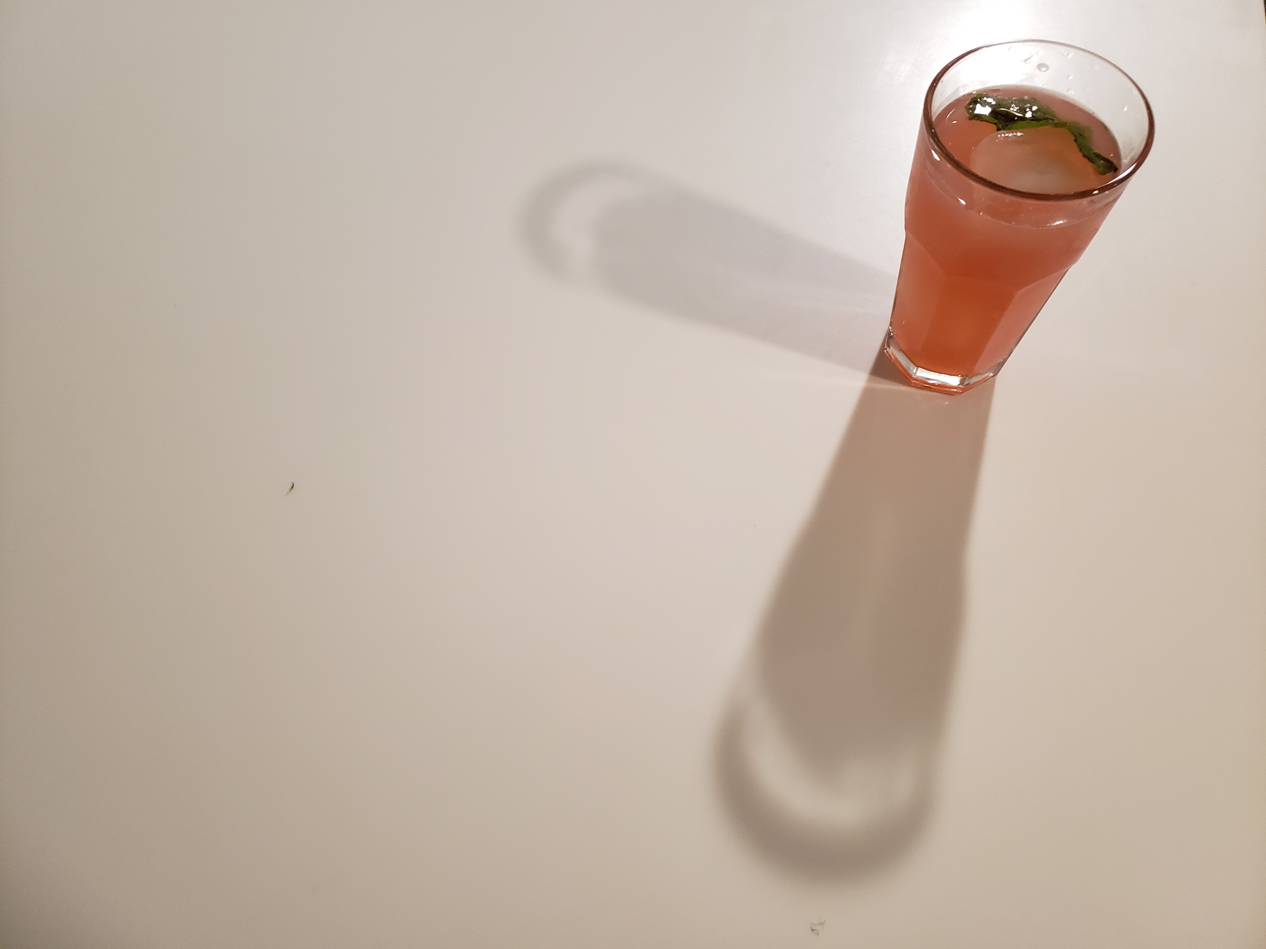 Sixth photograph from the Food project
