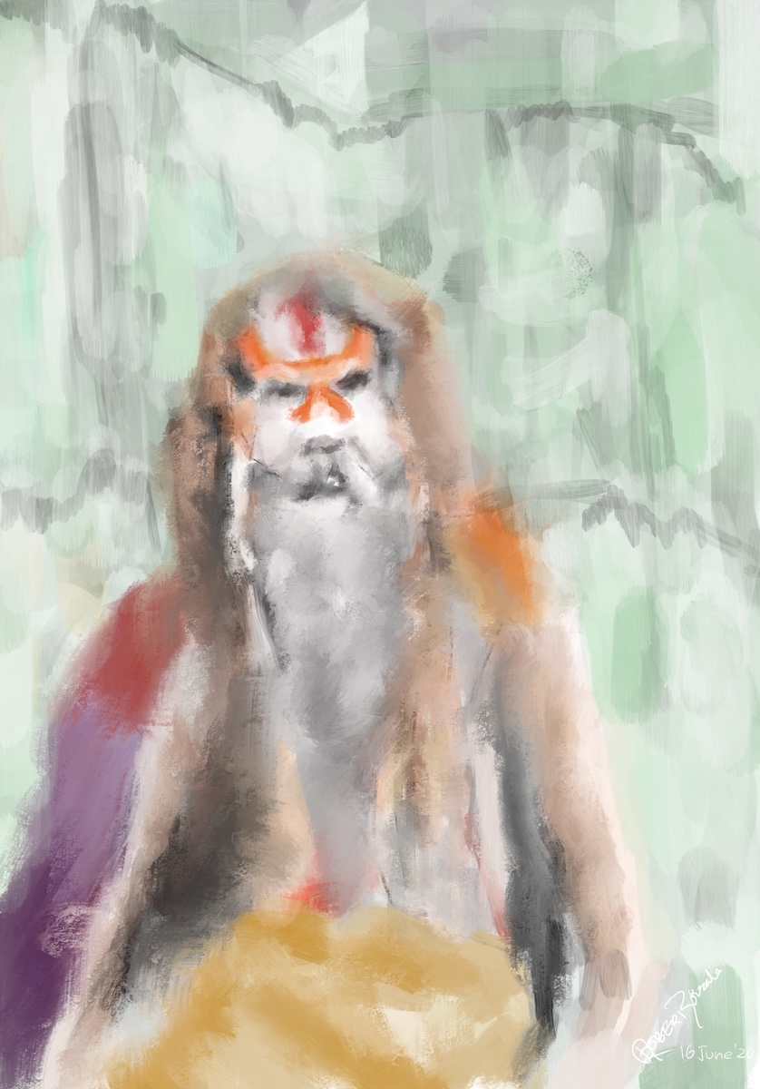 First photograph from the Sadhu project